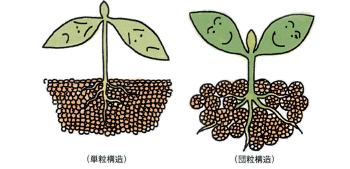 沸石如何應用于土壤改良領域？-國投盛世