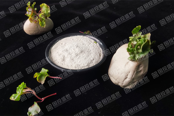 目前沸石飼料添加劑價格是多少？-國投盛世