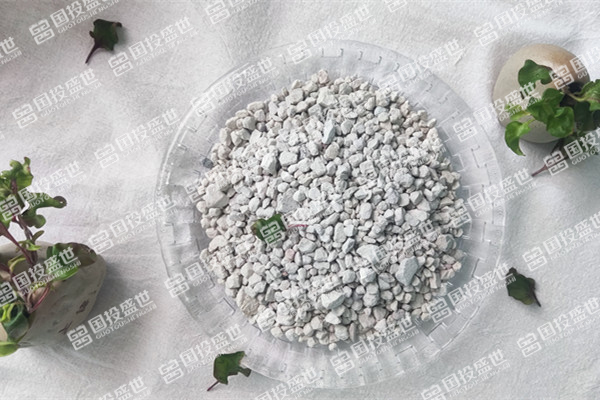 沸石為何能吸附控制垃圾填埋場的甲烷？