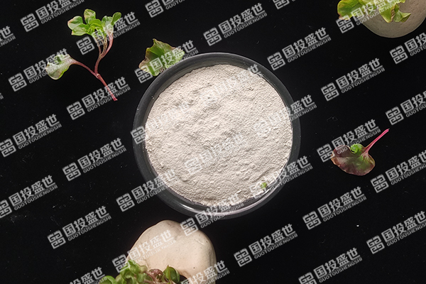 沸石與洗衣機：清潔與環保的完美結合