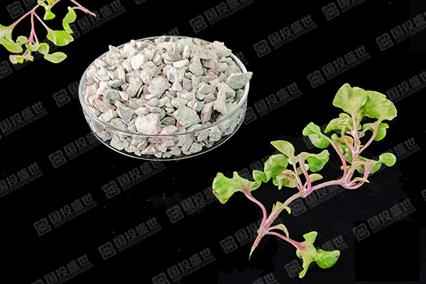 沸石對生態(tài)環(huán)境的作用-國投盛世