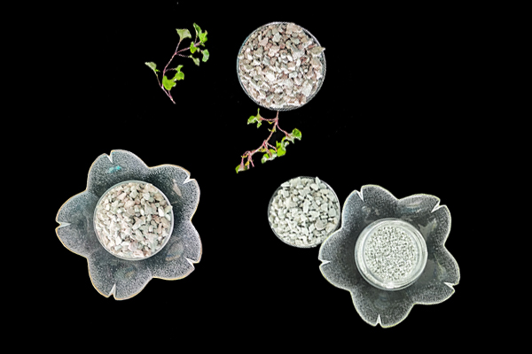 小米辣種植能借助沸石提升品質嗎？-國投盛世