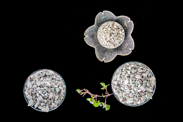 萵苣種植時添加沸石能提升產量嗎？-國投盛世