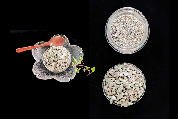 種植四季豆時加入沸石能提高產量嗎？-國投盛世